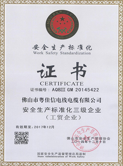 安全生產標準化三級企業(yè)證書